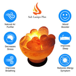 SLP Himalayan Salt Lamp Bowl with Chunks Heart Shape